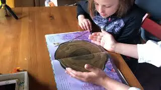 Урок С Соней 21 июня 2022