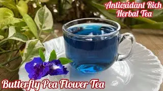 Blue Tea Recipe | Controls Blood Sugar & Cholesterol | Butterfly Pea Flower Tea Uses & Benefits 