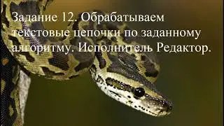 Задание 12