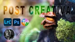 Post Produzione CREATIVA in Lightroom, Photoshop e il Plug In TK9