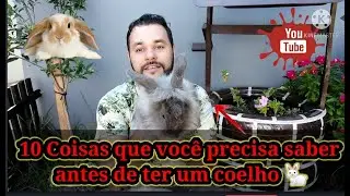 10 Coisas que você precisa saber antes de ter um COELHO                         