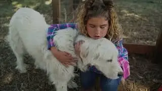 Your child can thrive with Oregon 4-H