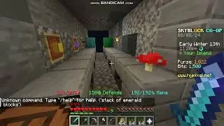 playing on hypixel with a sarvente skin