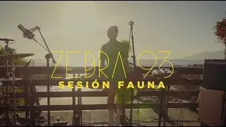 ZEBRA 93 - Sesión Fauna (LIVE)