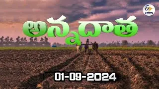 అన్నదాత | 1st September 2024 | Annadata | Full Bulletin | ETV Telangana