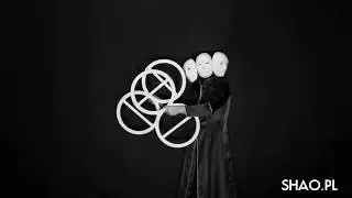 Hybrid Theory of 8rings