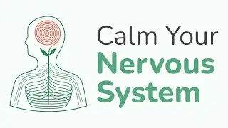 5 Steps To RESET Your Nervous System