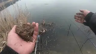 Что клюет на красивом озере в лесу?? Разведка по карасю прошла успешно.
