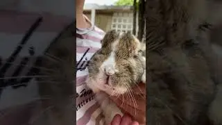 Bunny enjoys a grape and gets messy