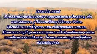 Красивое чтение Корана   Сура 14 «Ибpaxим» 28 52