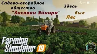 Farming Simulator 19. Расчистка участка для нового поля.