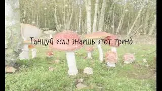 🍄Танцуй если знаешь этот тренд🍄