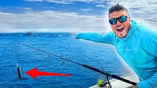 Ich werfe KAMERA in RAUBENDEN FISCH-SCHWARM dann passiert das....🤯