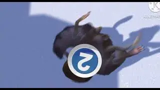٢٢ أغسطس، ٢٠٢٤