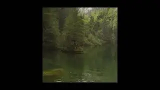 Oásis de Relaxamento: 1 Hora de Música Relaxante para Renovar as Energias e Aliviar o Estresse