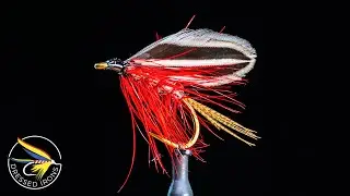 Tying the Lady Gray Wet Fly - Dressed Irons