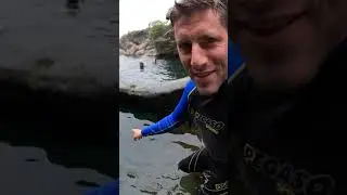 The Fairy Pools on the Isle of Skye! so much fun!