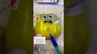 РЕБРА 1 ЧАСТЬ. Фруктовый врач
