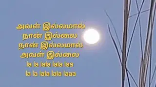 #viswanathanramamoorthy #vaali #tms #love #song #harmonica #singalong #happy #tune #oldisgold