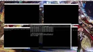 Redes no Virtualbox - Host-only
