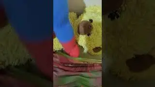 медведь отомстил
