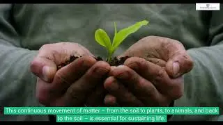 Cycling of Matter in Ecosystems 🌍🍃