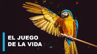 El Juego de la Vida | La Evolución | Documentales Interesantes HD