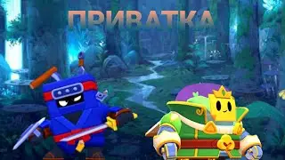 ПРИВАТНЫЙ СЕРВЕР с ЭШОМ😱😱. Ссылка в описании