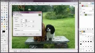 How To Resize An Image Using GIMP (and then put it in your Wordpress Blog)
