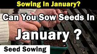 Sowing In January? | Enough Heat and Light? | Plant Hardiness | Green Side Up