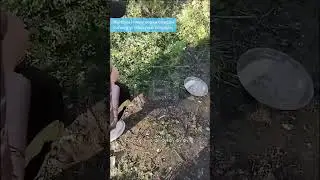 Жители Николаевки спасли собаку, упавшую в колодец