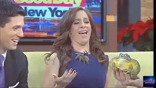 Videos Engraçados Best Moments Bloopers Compilation September 2015 Best Reporter Funny Pranks1