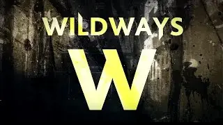 Wildways - D.O.I.T. (Lyric Video)