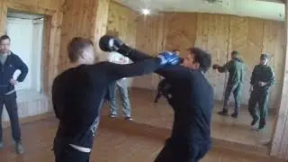 Спаринги