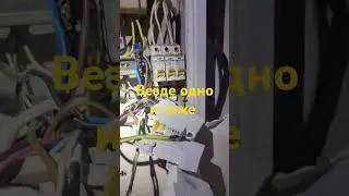12 августа 2024 г.