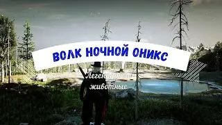 Волк Ночной Оникс Легендарные животные - Red Dead Online
