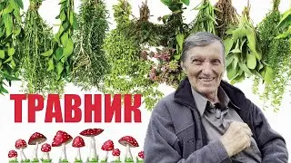 АЛХИМИЯ ДРУГИХ ВИБРАЦИЙ   ЧУДО ИСЦЕЛЕНИЯ
