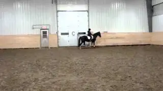 MOV05148