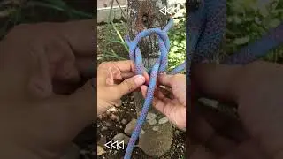 Great Bowline Knot | King of Knot #knotskill #knot #bowlineknot