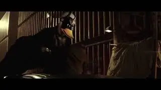 Дональд Дак Бетмен  #shorts #short #funny #donald #donaldduck #batman