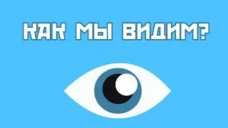 Как мы видим?
