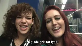 Party review Denmark - Den glade gris København