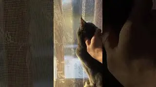 Утро деревенское. 