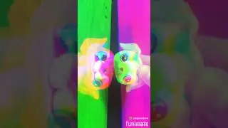 Lps mv- you should see me in a crown