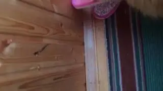 Сеня! Отдай тапок!)))