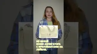 Сумочка за 260 тысяч долларов от Шанель! 