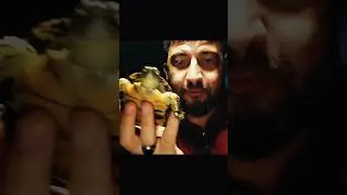 Черепашки ниндзя. Нашел в Чиркейском водохранилище