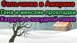 Сельчанка в Америке. Гена и бесплатка. Катруся в посудной лавке