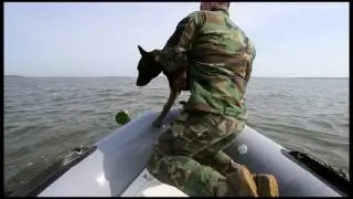 TACTICAL TRACKING GAK9