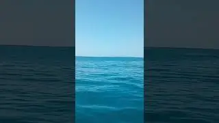 в открытом море на катере "Жемчужина' 20.08.22